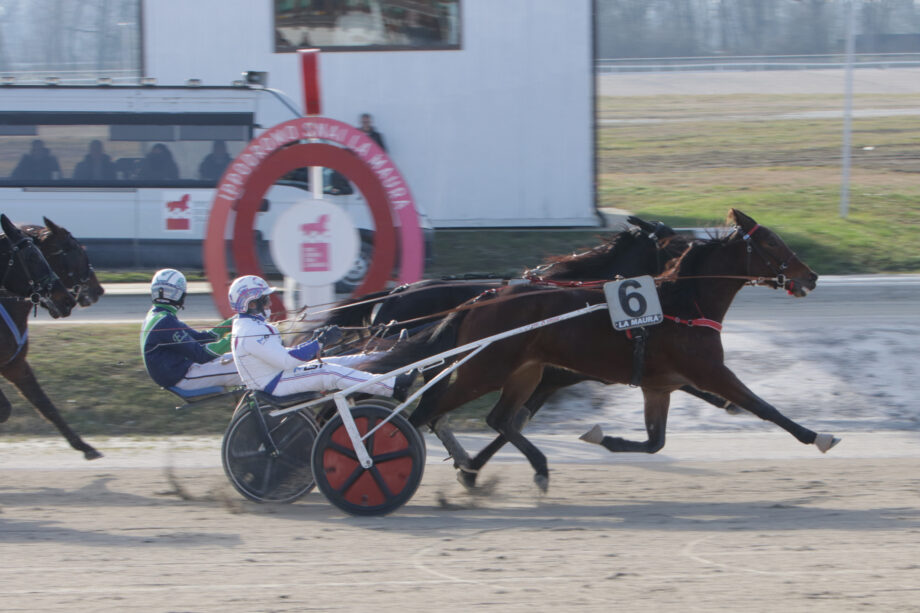 CORSA3 PREMIO REVIRADE