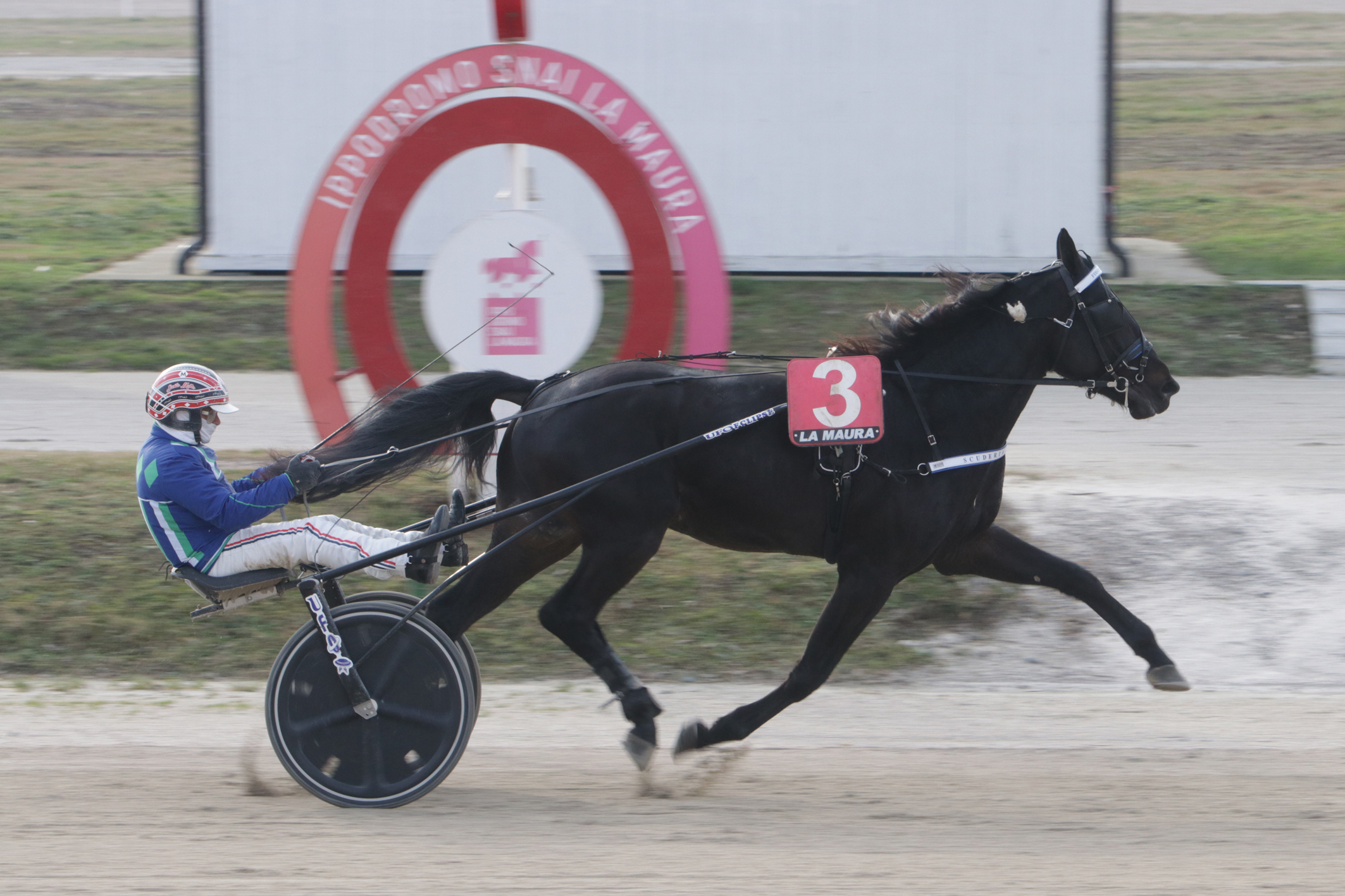 Trotto a La Maura: protagonisti Funky Roc e Every Time Winner 6 CORSA4 PREMIO ALCHIMIA DI CASEI