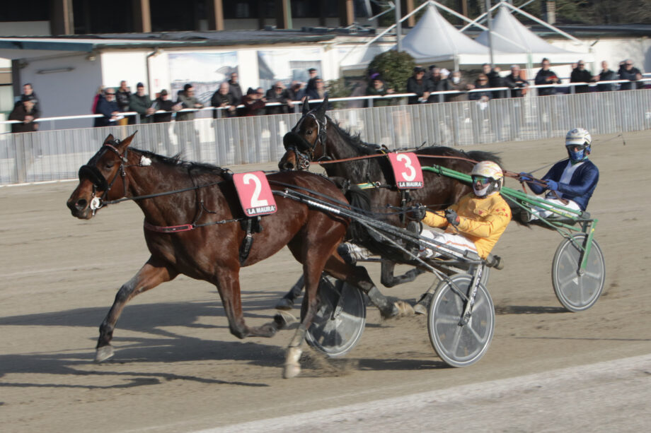 CORSA4 PREMIO TALISKER HORSE