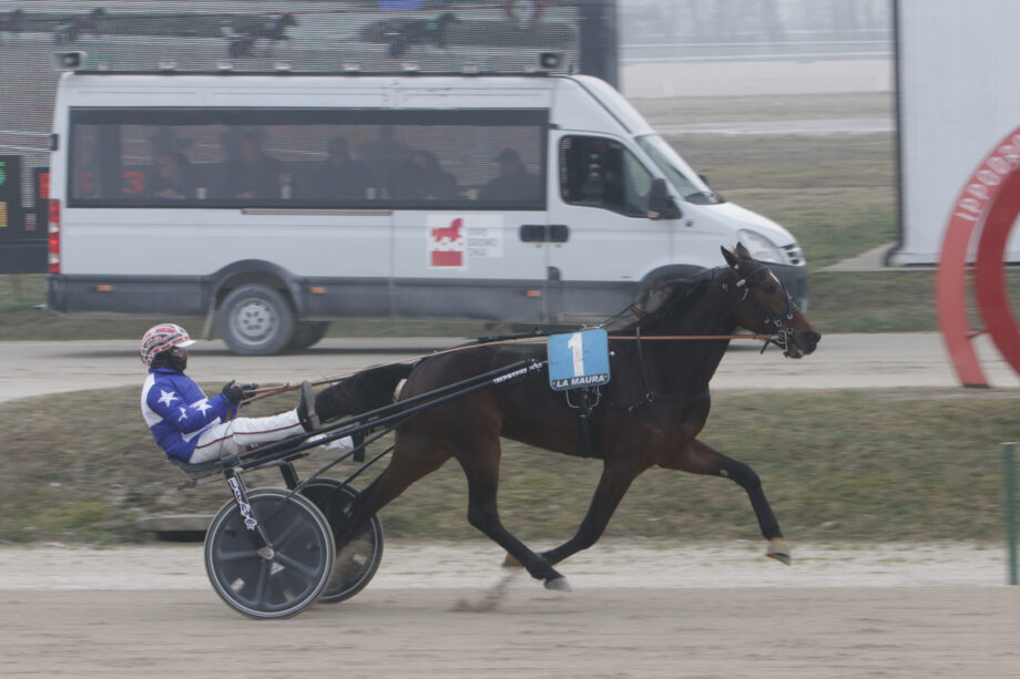 Newstar e Fashion Grif protagonisti all’Ippodromo Snai La Maura 5 CORSA5 PREMIO DE SOTA 1938 1939