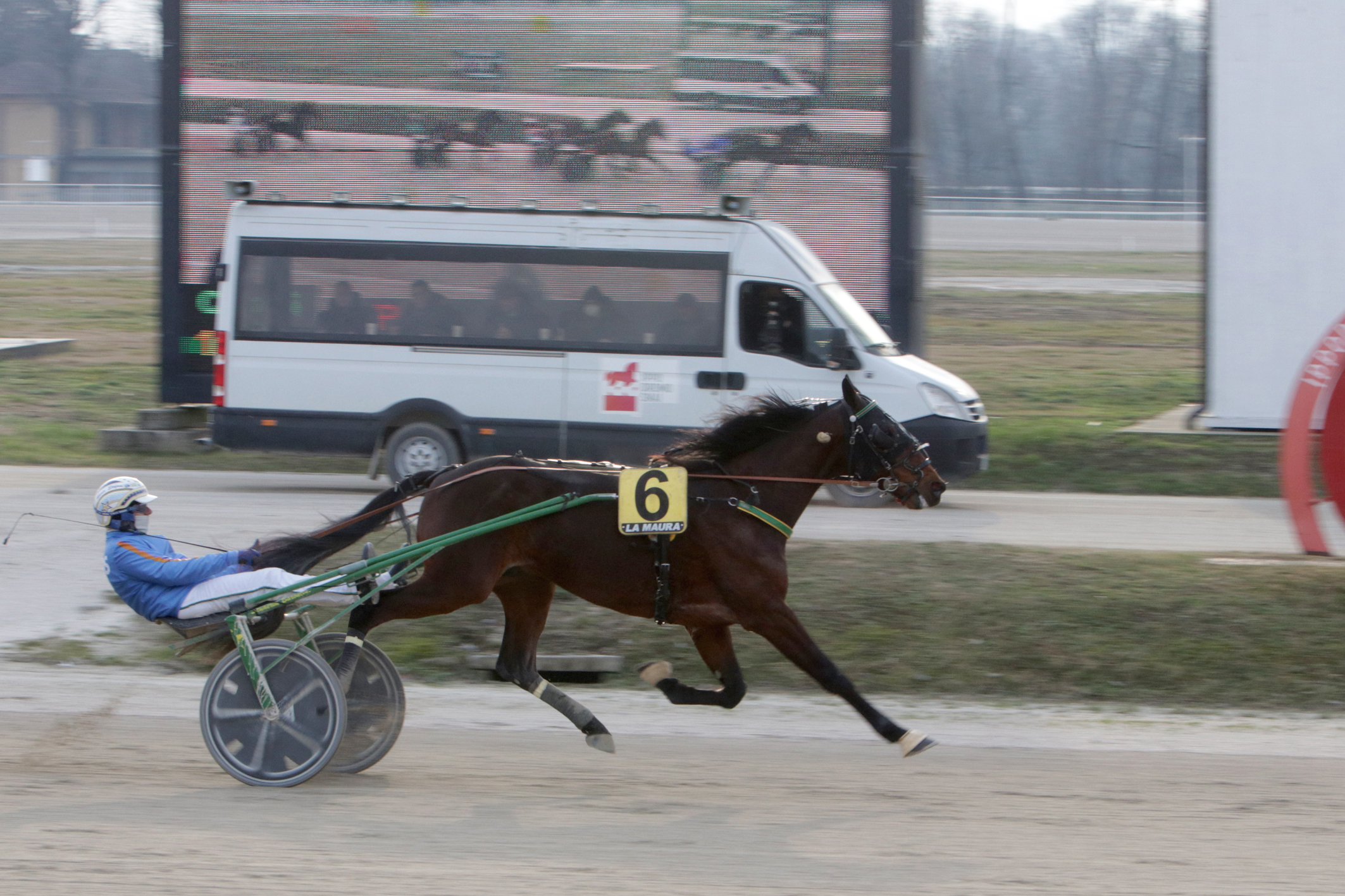 Trotto a La Maura: protagonisti Funky Roc e Every Time Winner 2 CORSA6 PREMIO ZINIA DI CASEI