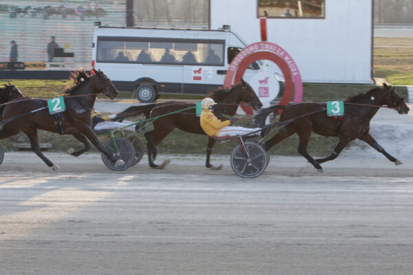 CORSA7_PREMIO ALIGERO all'ippodromo snai la maura