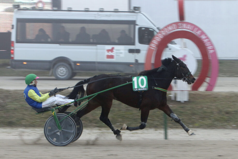 Newstar e Fashion Grif protagonisti all’Ippodromo Snai La Maura 6 CORSA7 PREMIO MIGHTY NED 1948