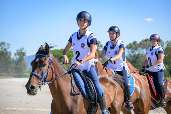 Gara di endurance equestre