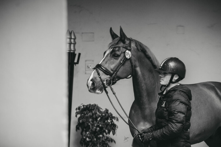 Diego Martínez: A Young Spanish Dressage Rider Making Strides in Belgium 4 Diego Martinez 3