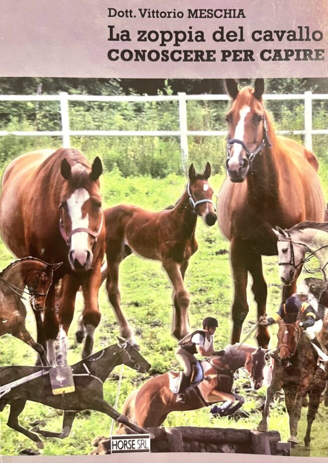 I piedi del cavallo: pareggio e ferratura per correggere difetti di appiombi 3 IMG 0391