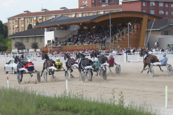 Partenza corsa di trotto all'Ippodromo Snai La Maura