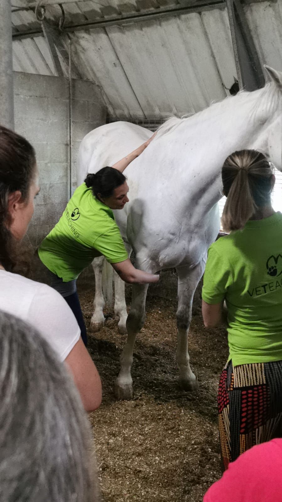 Dottoressa Mila Speciani durante il corso EQ75 di massaggio equino organizzato da VeTeaching