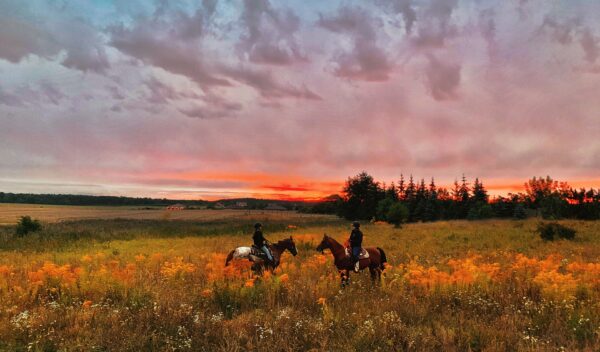 Equitazione di campagna intro prima parte 2024 foto Anna Pixabay