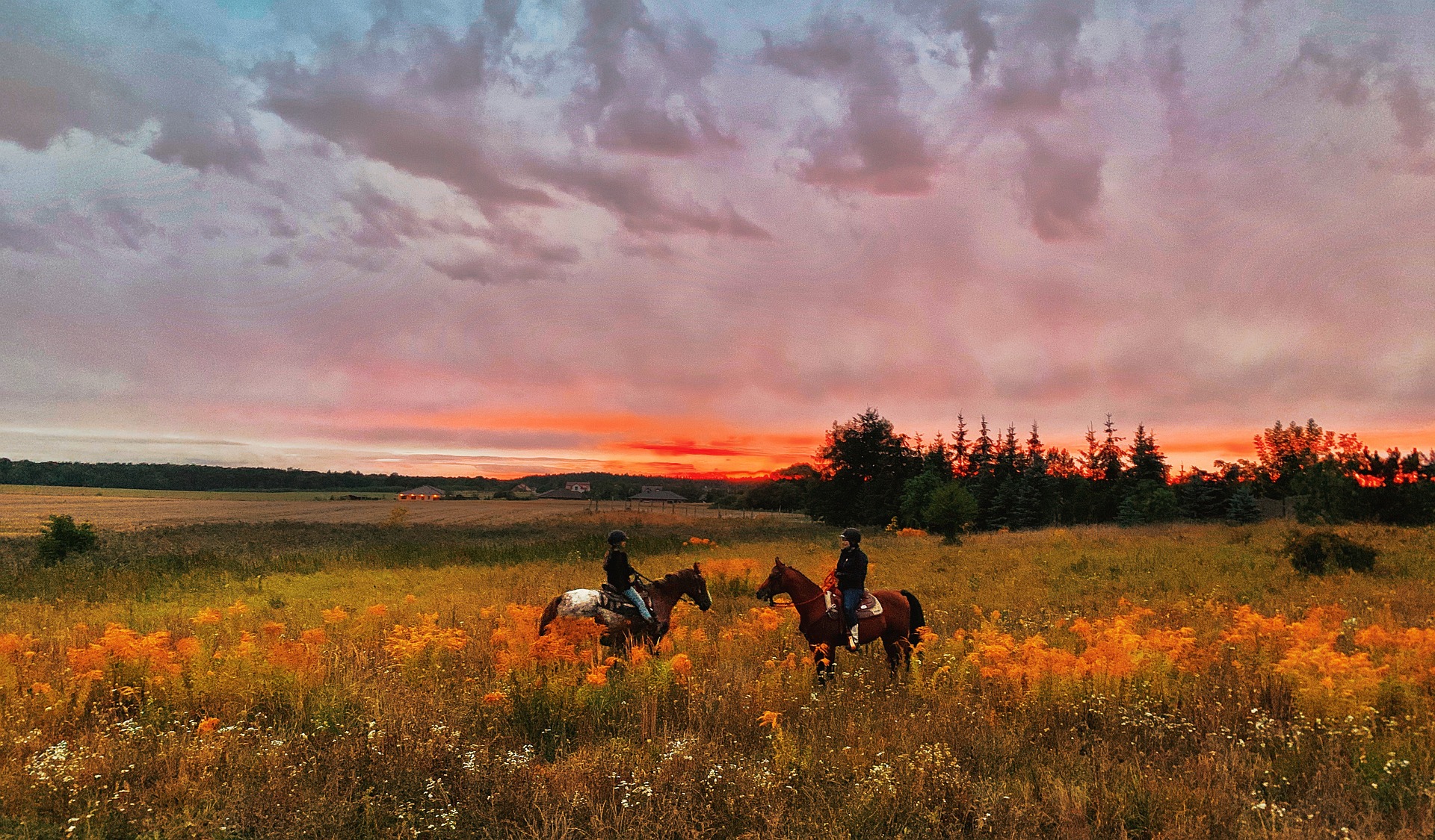 Equitazione di campagna, radici antiche e affascinanti 1 Equitazione di campagna intro prima parte 2024 foto Anna Pixabay
