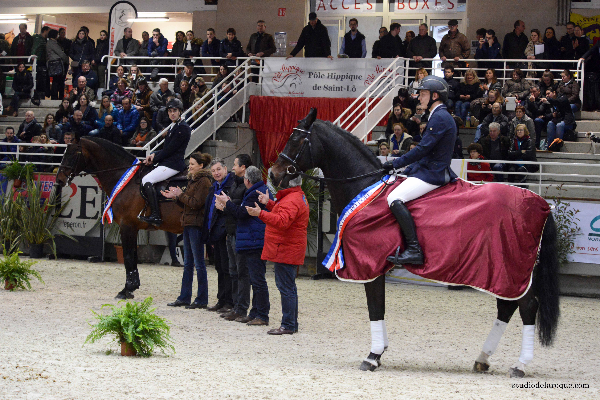 Mostra di stalloni sportivi di Saint-Lô dal 23 al 25 febbraio 2024 3 unnamed5