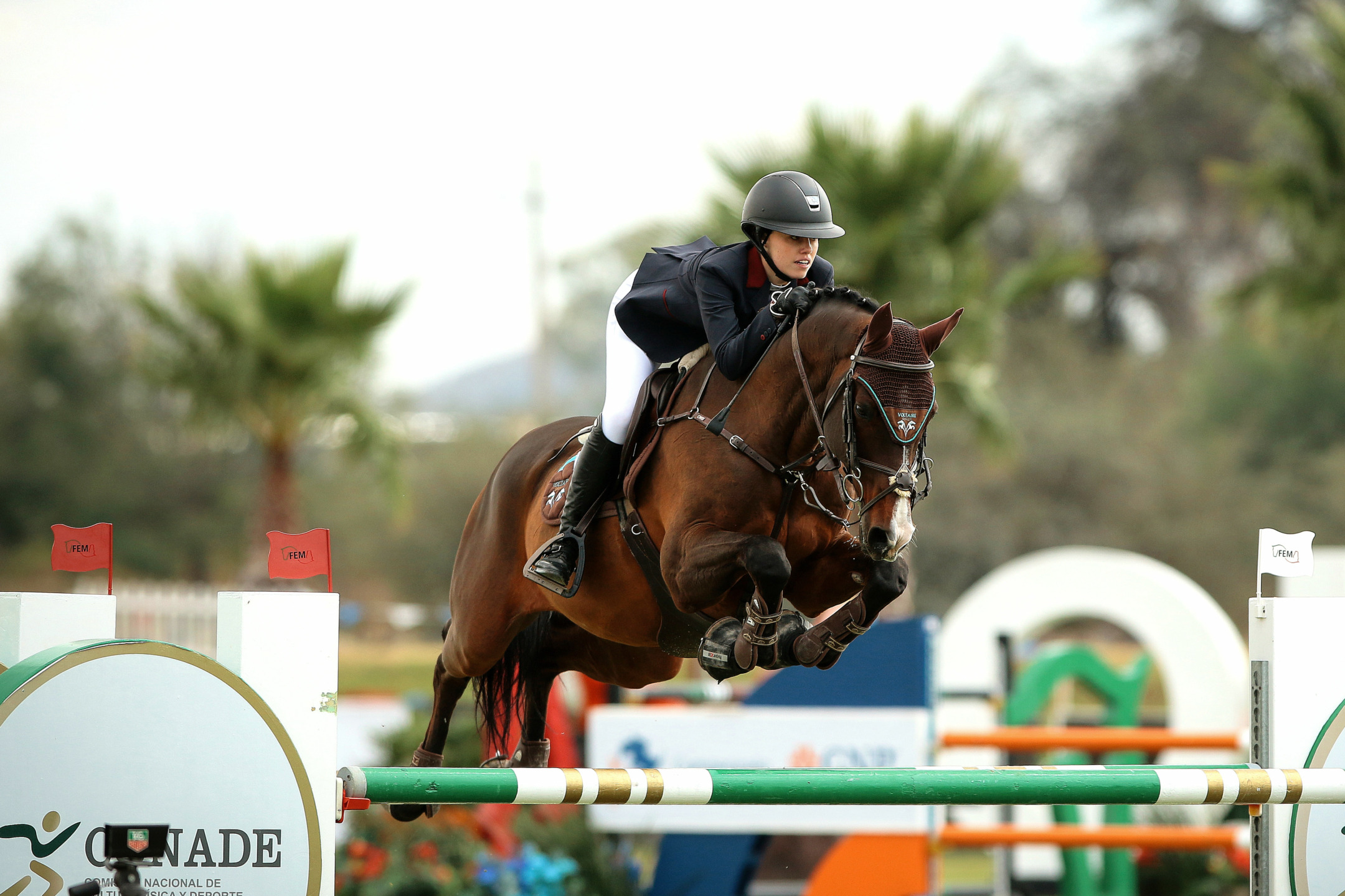 Xaviera Maurer "Non si tratta di quante volte cadi, ma di quante volte ti rialzi" 1 Xaviera Maurer in sella a Queens Darling Campioni della Juniors High Division ai Campionati Nazionali