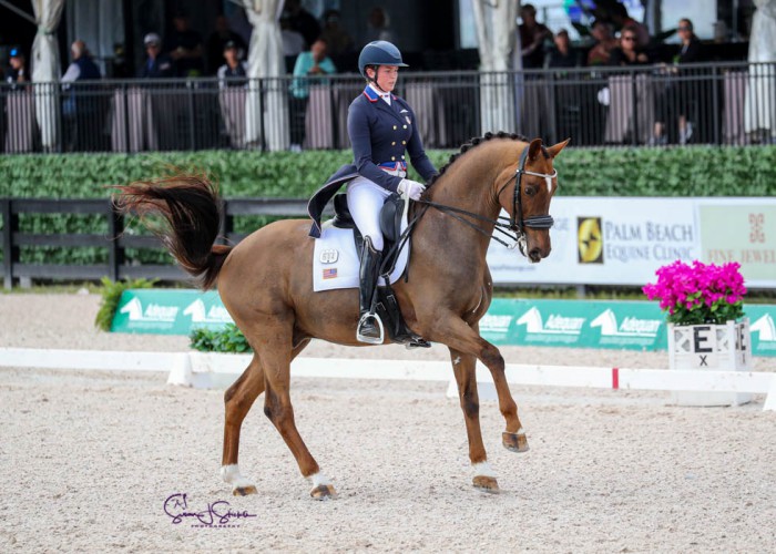 Anna Marek Opens Her Account at AGDF 5 with Personal Best Victory on ‘Bouncy Ball’ Fayvel 1 Anna- Marek Fayvel ©susanjstickle.com