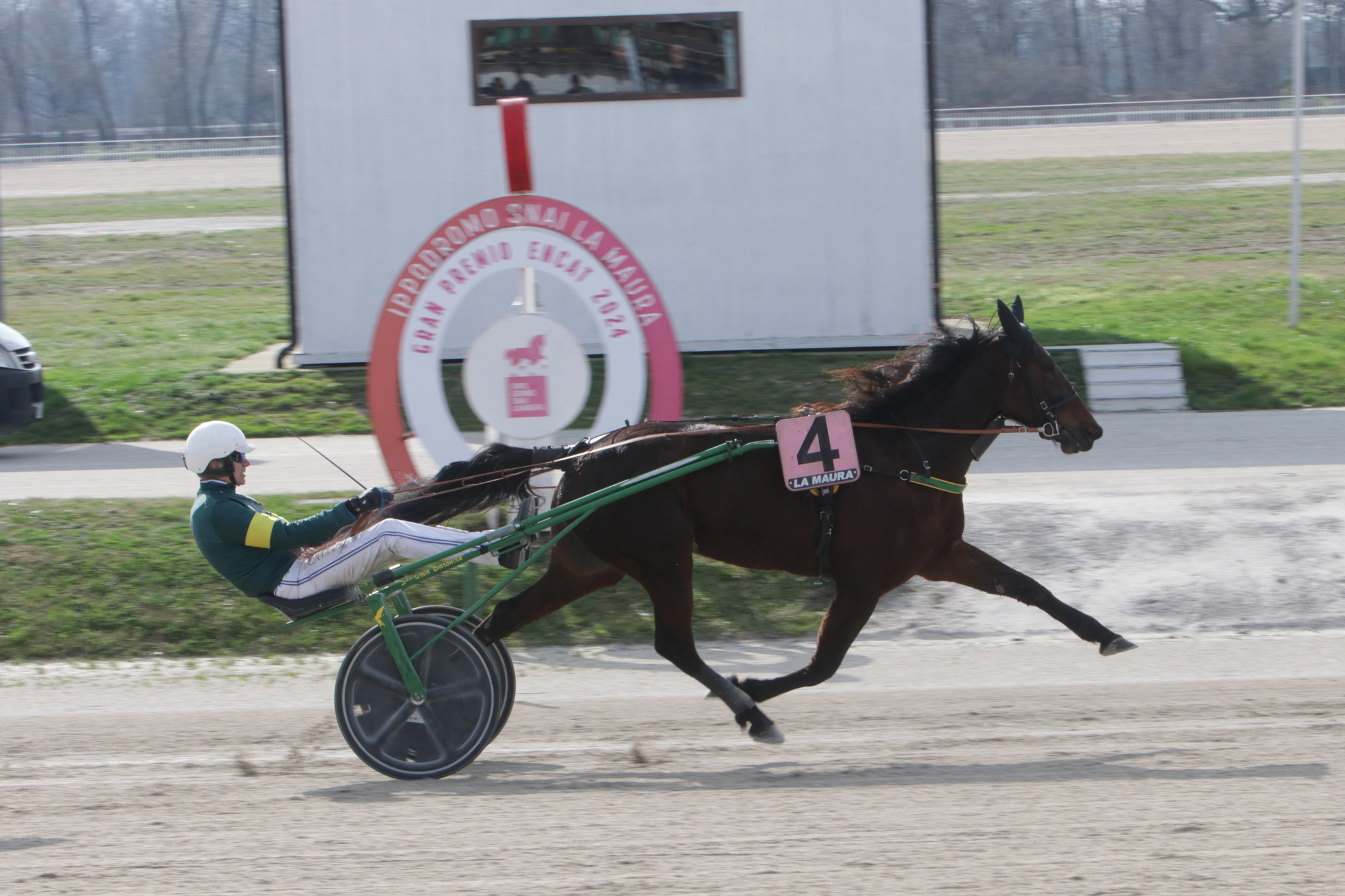 CORSA1 PREMIO LEMON DRA