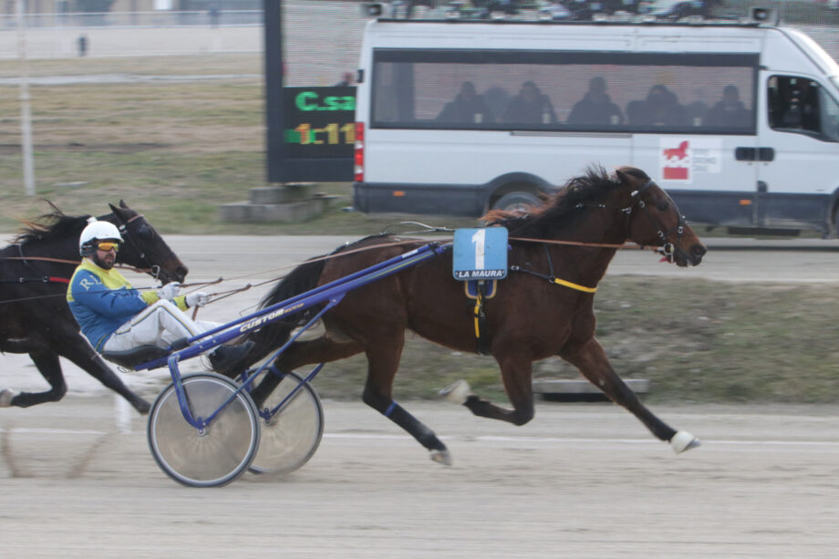 Nel mercoledì di trotto all'Ippodromo SNAI La Maura Cosmo Spritz si beve tutti 3 CORSA5 PREMIO ORLEANS OM