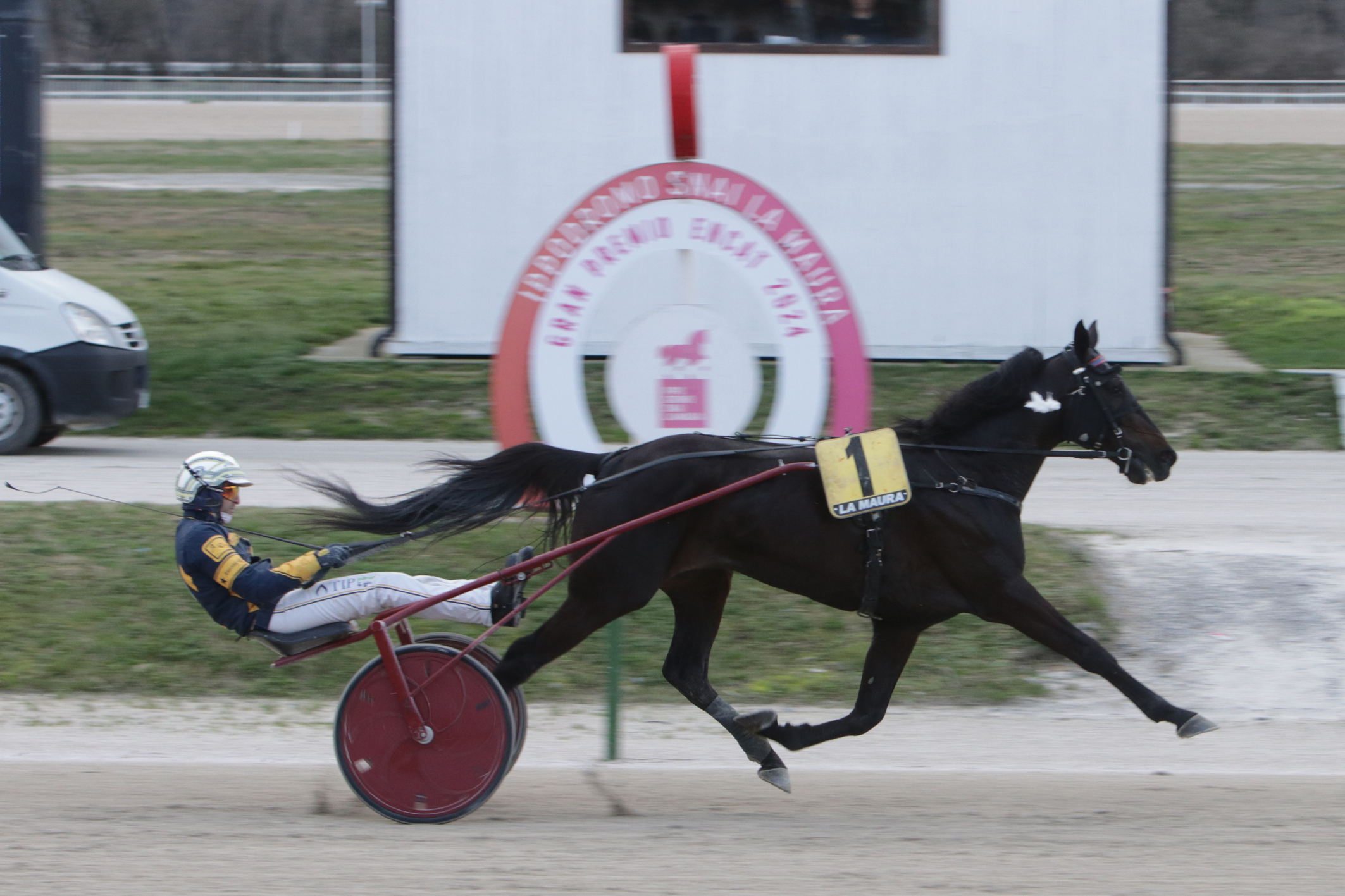 GRAN PREMIO E.N.C.A.T. - Trofeo Bruni Costruzioni -: vincente: CAPITAL MAIL; driver: Antonio Di Nardo; scuderia/proprietà: Cortese Saverio