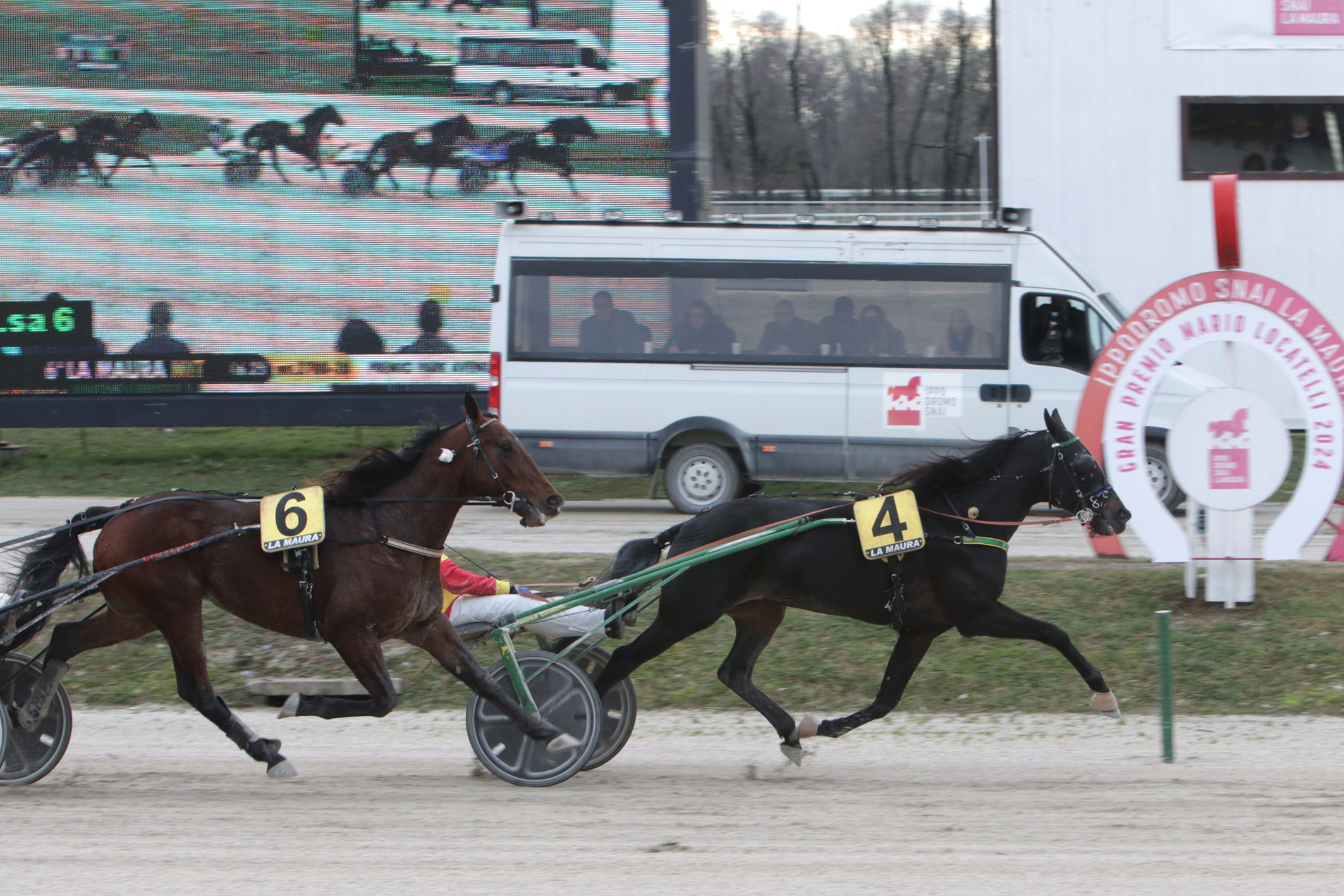 CORSA6 PREMIO PARK AVENUE JOE