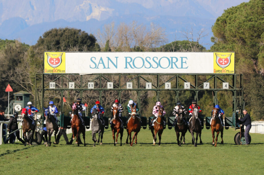 Ippodromo San Rossore: il culmine della stagione ippica si avvicina 4 DPP 00036997