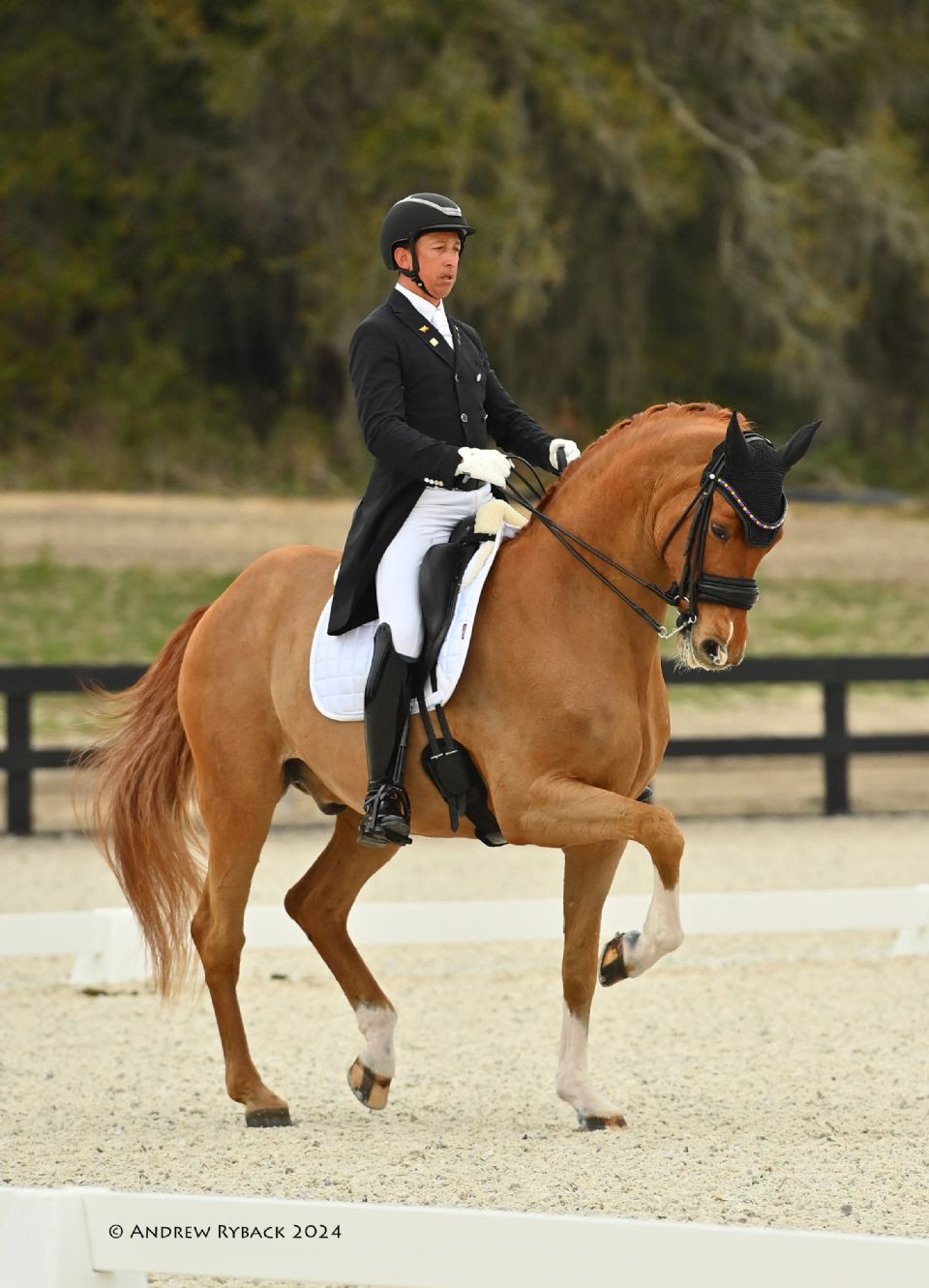 Mendoza torna a vincere al World Equestrian Center nel CDI3* 1 IMG 1805 2