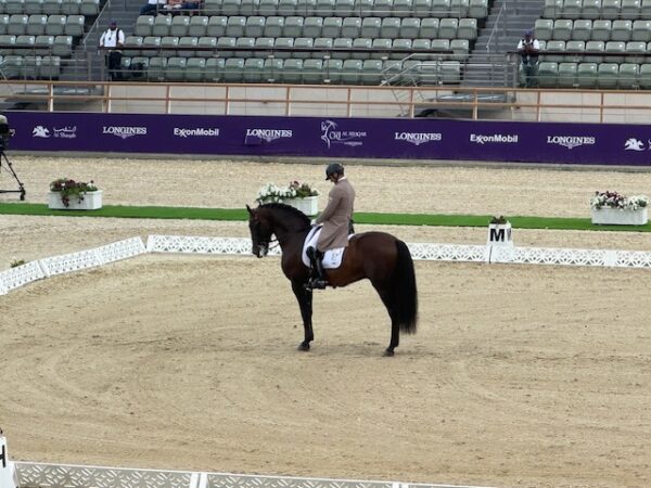 Grand Prix Dressage Doha Al ShAQAB, 2024