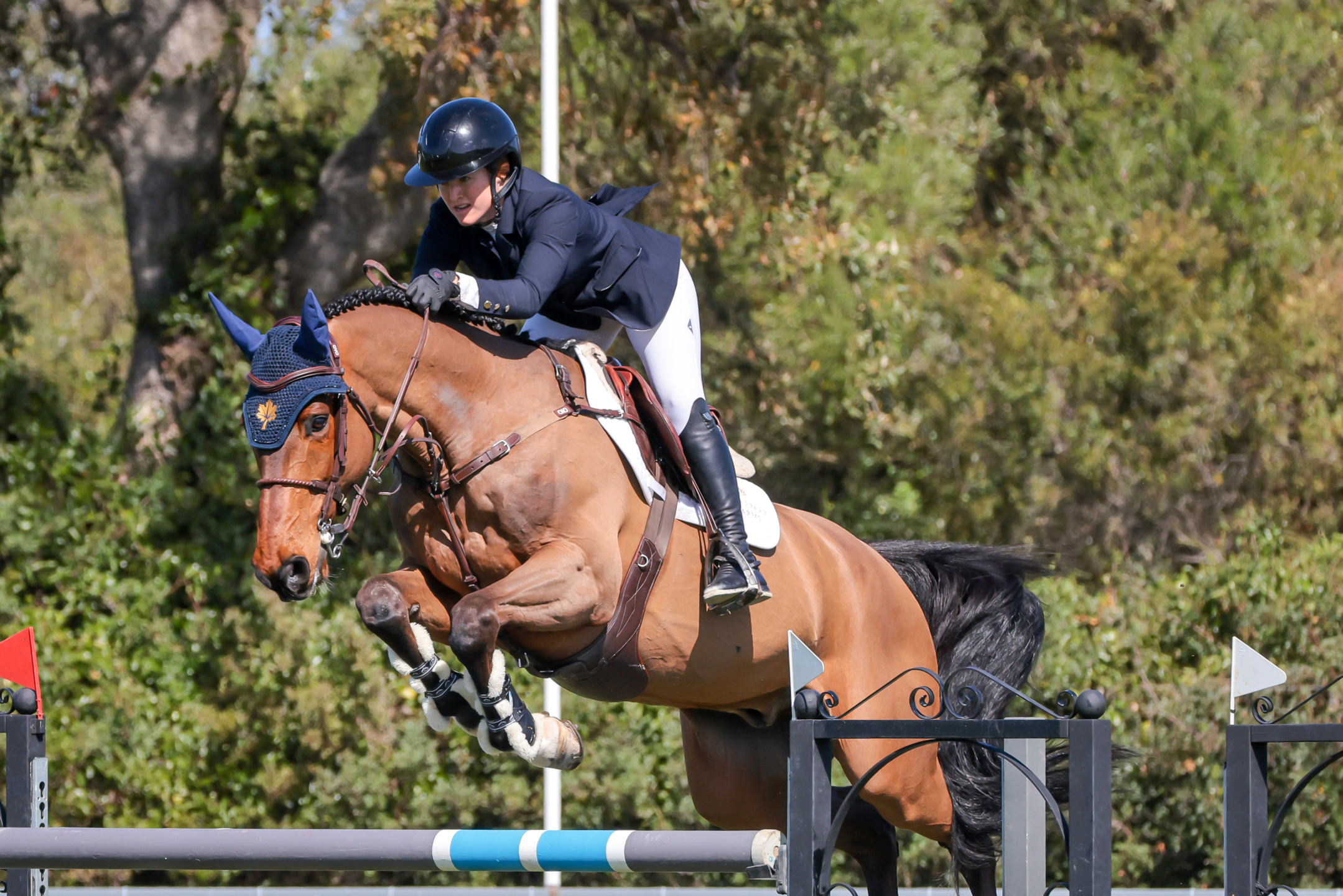 Sunshine Tour: Kara Chad brilla nel Piccolo Gran Premio con Igor GPH 1 Kara Chad al Sunshine Tour