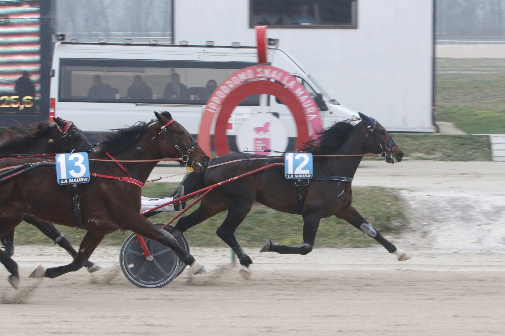 All’ippodromo Snai La Maura di Milano, domenica grandi prestazioni 1 QUINTA CORSA_PREMIO MINT DI JESOLO, all'arrivo Capitano Pi all'ippodromo Snai La Maura