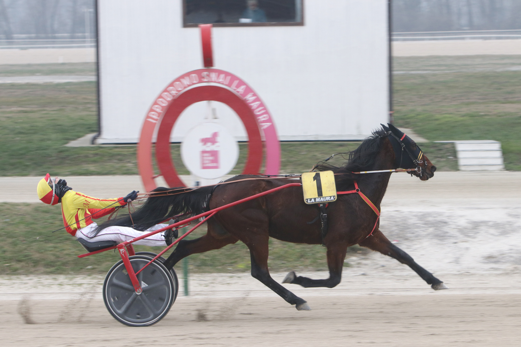 All’ippodromo Snai La Maura di Milano, domenica grandi prestazioni 6 SESTA CORSA PREMIO MEL DI JESOLO