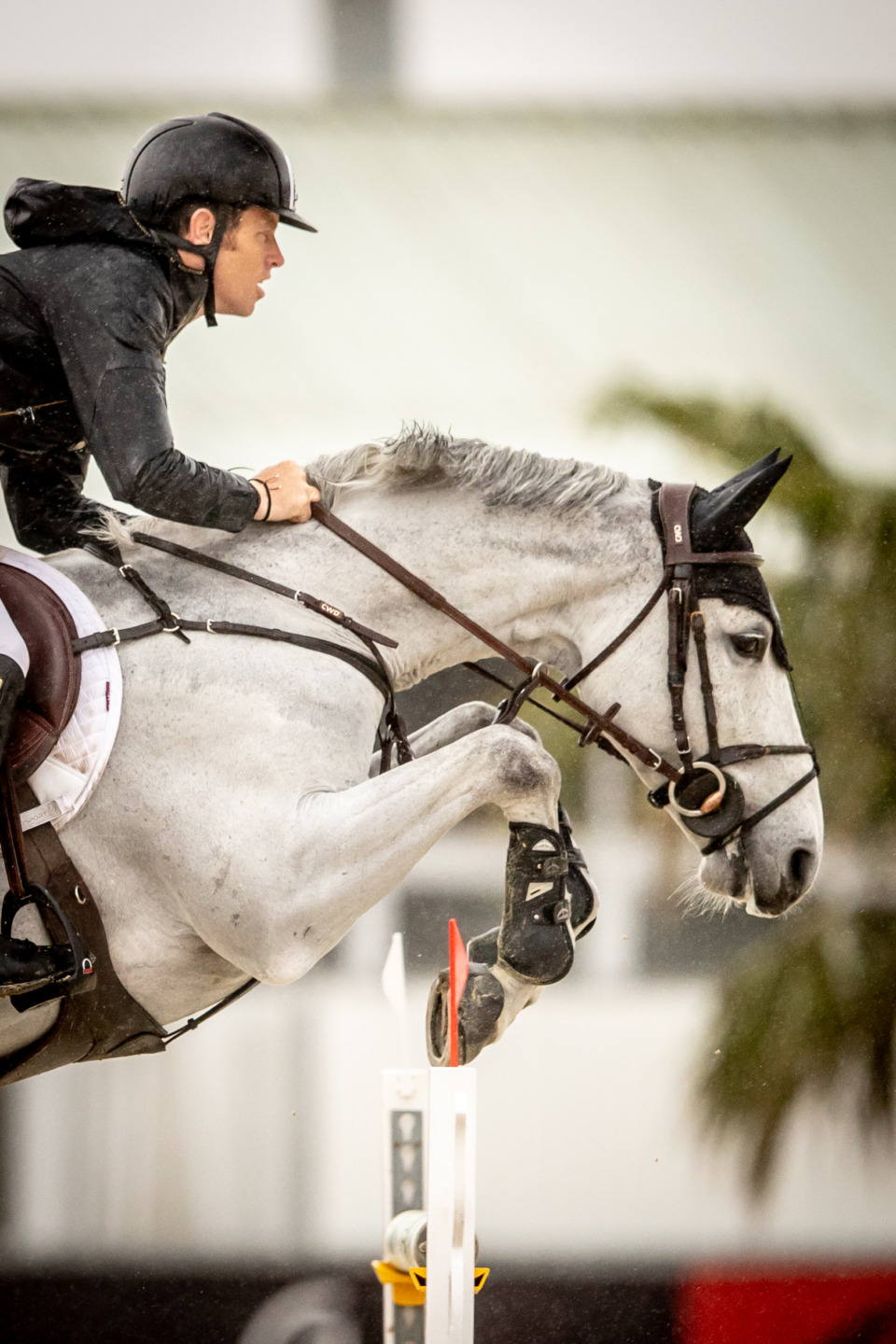 Scott Brash e Hello Valentino vincitori del GP CSI4* Big Tour a Vejer