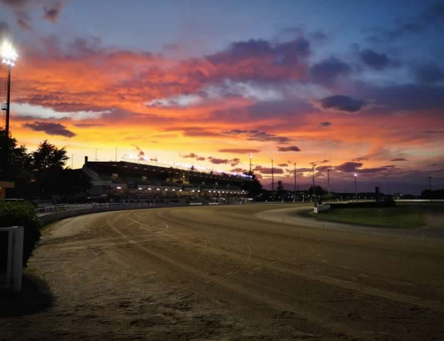 All'ippodromo di Vinovo sarà un 2024 ricco di corse, emozioni e appuntamenti 1 Pista ippodromo di Vinovo