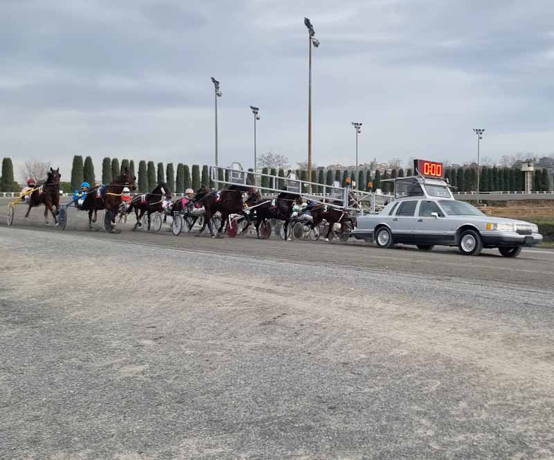 cavalli in partenza corsa trotto all'ippodromo San Paolo