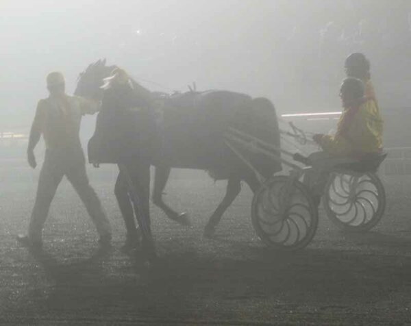 Corse nella nebbia all'ippodromo San Paolo a Montegiorgio