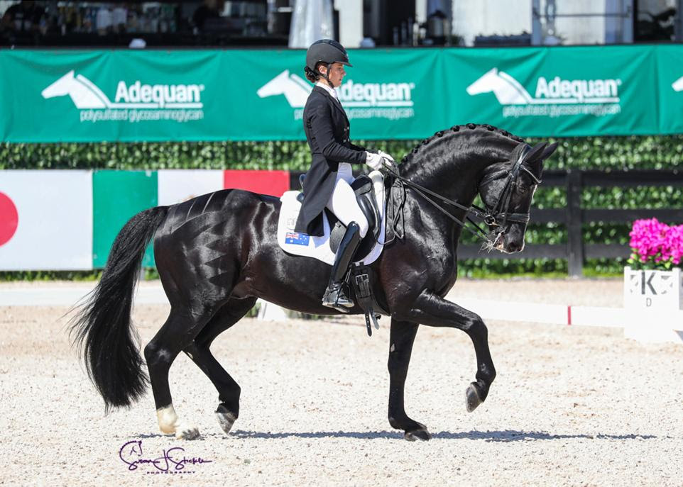 Kate Kyros’ Host of Firsts Results in Under-25 Nations Cup Individual Gold in Wellington 1 Kate Kyros & Chemistry. Photo © SusanJStickle.com