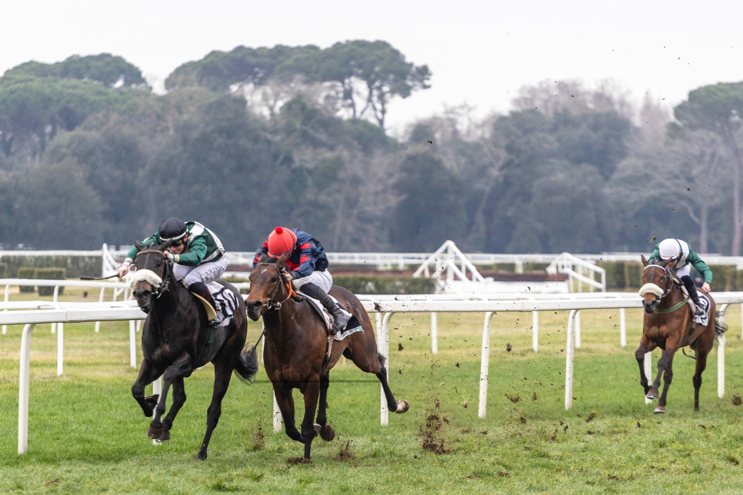 Corsa all'ippodromo San Rossore