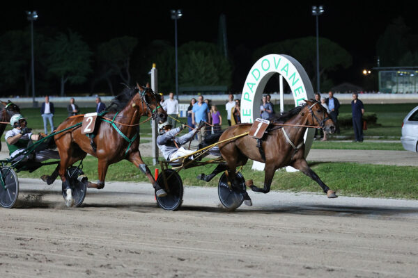 Ippodromo le Padovanelle arrivo di una delle due corse principali di domenica 10 marzo