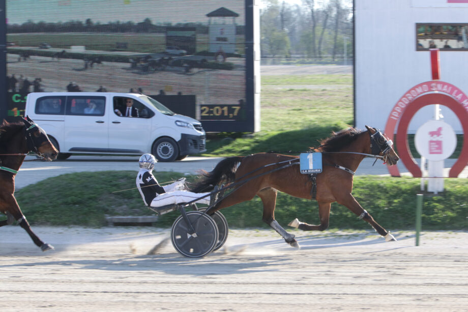 CORSA5 PREMIO ZEFIRO DETE