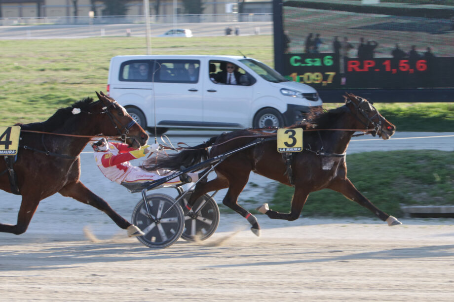 CORSA6 PREMIO ZACON GIO