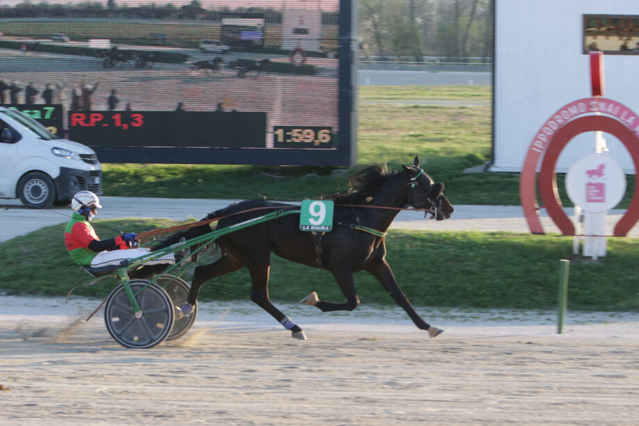 CORSA7 PREMIO ZARENNE FAS