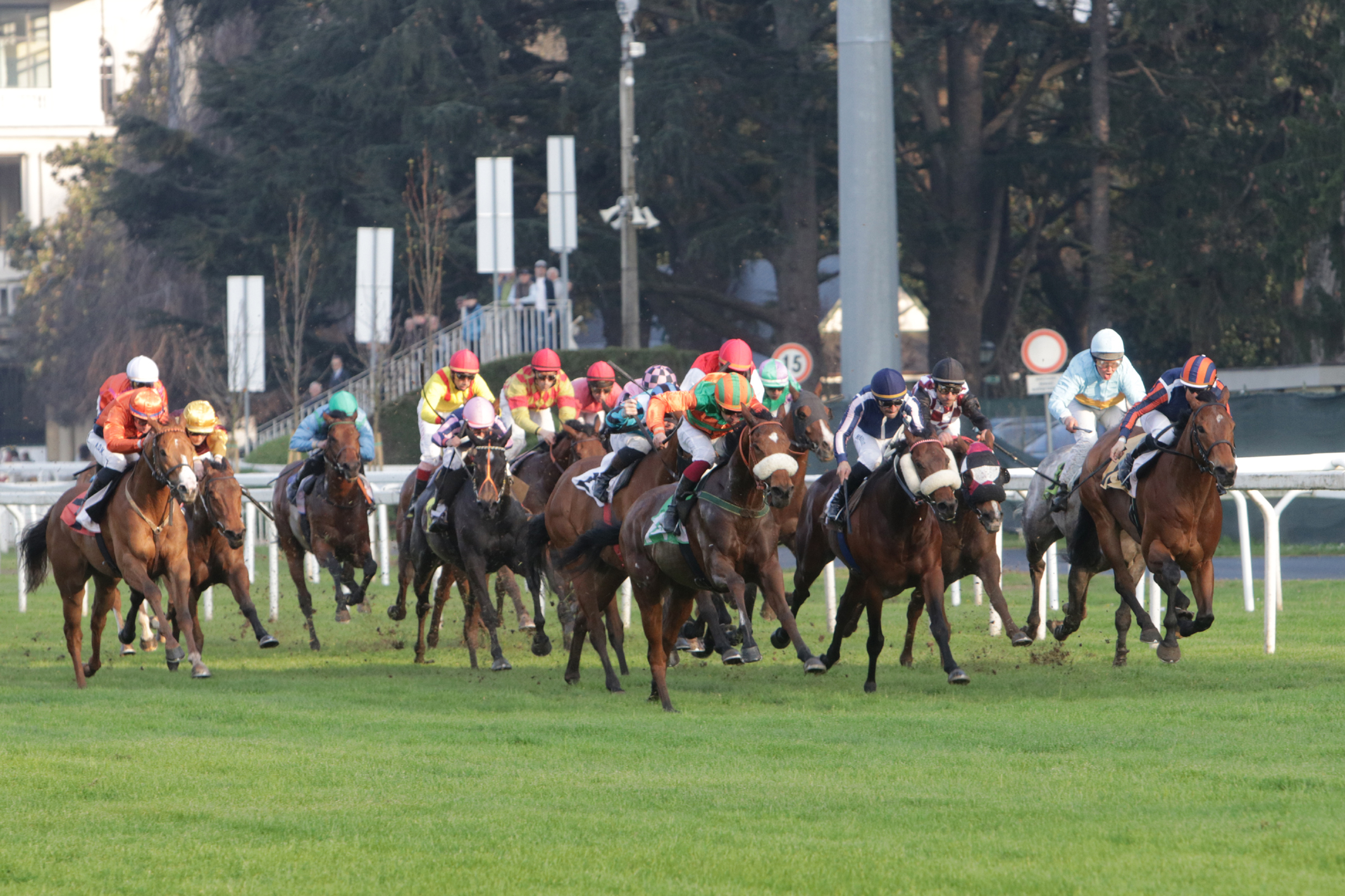 Un altro sabato di galoppo all’ippodromo Snai San Siro 1 CORSA_PREMIO APERTURA 24_IPPODROMO SNAI SAN SIRO