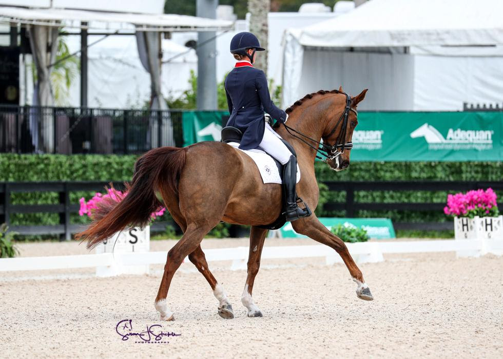 La canadese Camille Carier Bergeron vince nel Senior CDI Big Tour all'AGDF 8 1 Camille Carier Bergeron riding Finnländerin