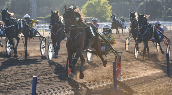 Corsa al trotto all'ippodromo capannelle di Roma