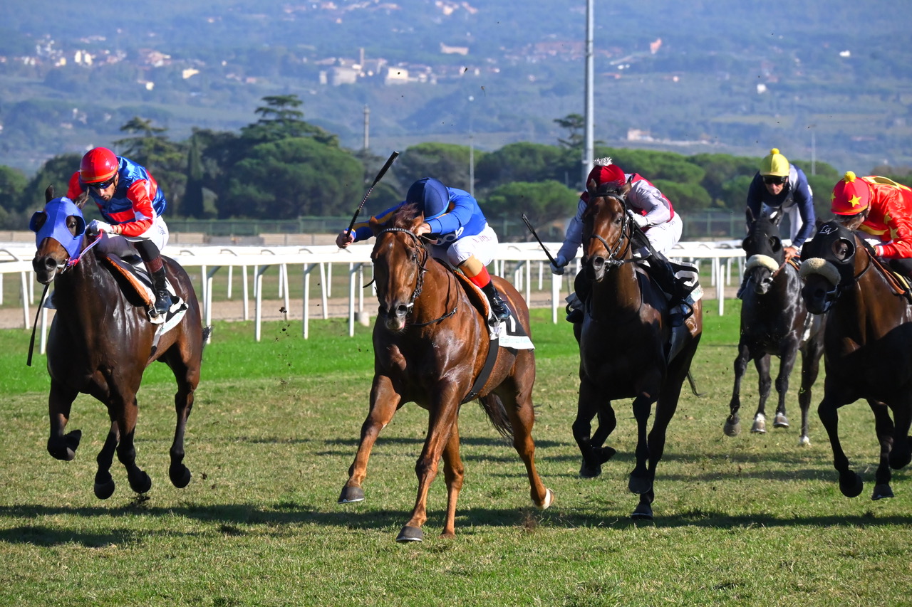 Corsa al galoppo all'ippodromo Capannelle