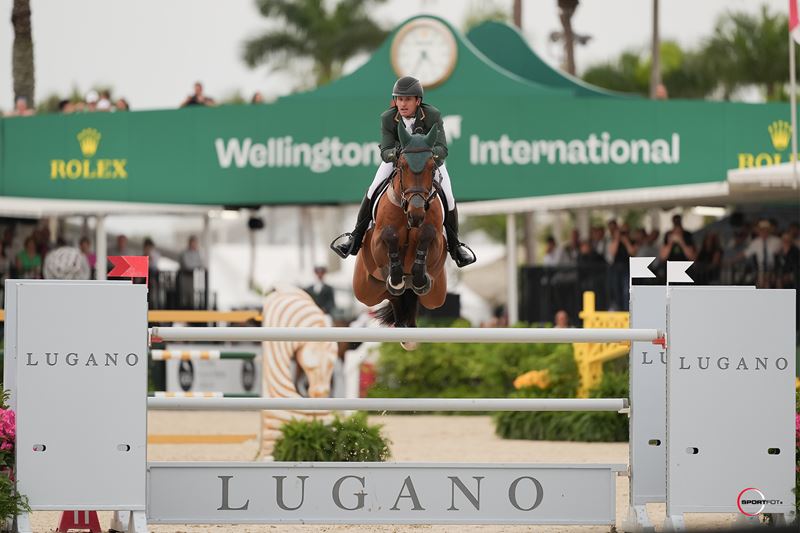 L'Irlanda vince ancora una volta la Nations Cup CSIO4* di Wellington 2 Darragh Kenny Eddy Blue. Photo © Sportfot