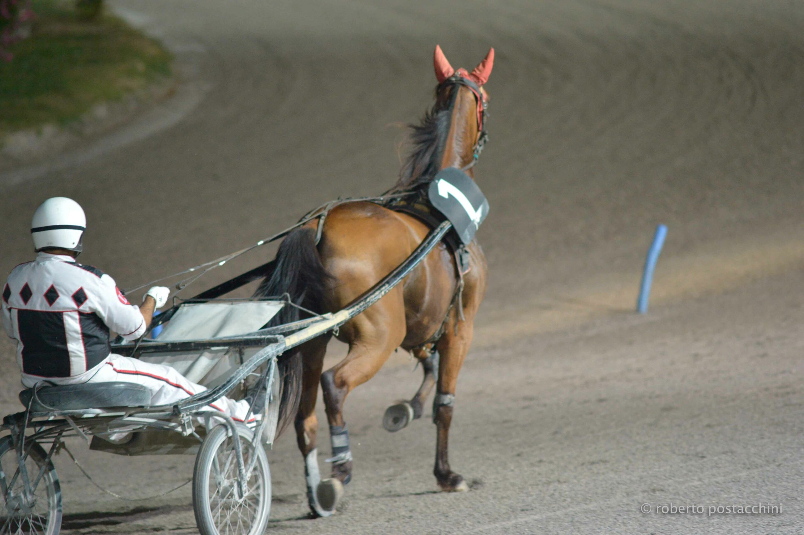 Ippodromo San Paolo quinta giornata di trotto venerdì 8 marzo 2 FOTO FERRARI3 scaled