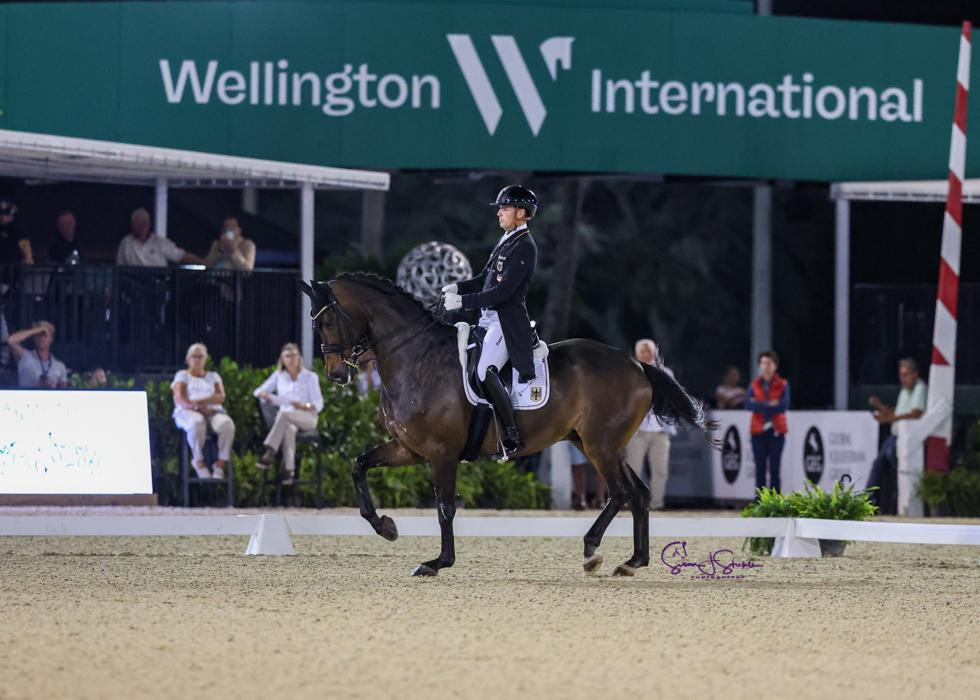 Frederic Wandres & Bluetooth OLD, winners of the CDI5 FEI Grand Prix AGDF