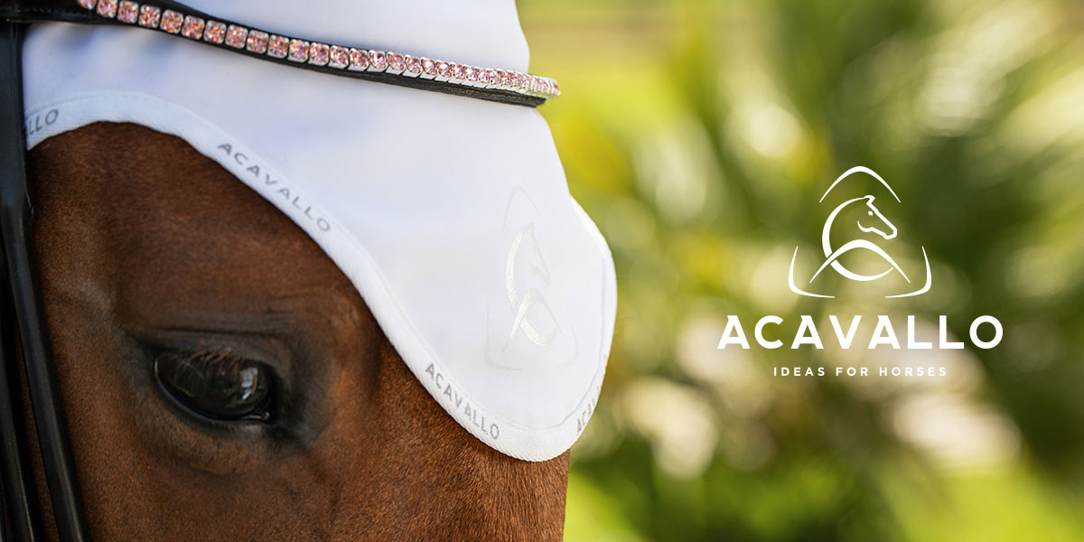 Occhio di un cavallo con cuffietta bianca di Acavallo con logo del brand a fianco