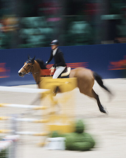 Il Saut Hermès torna a Parigi dal 15 al 17 marzo 2024 7 IMG 2398