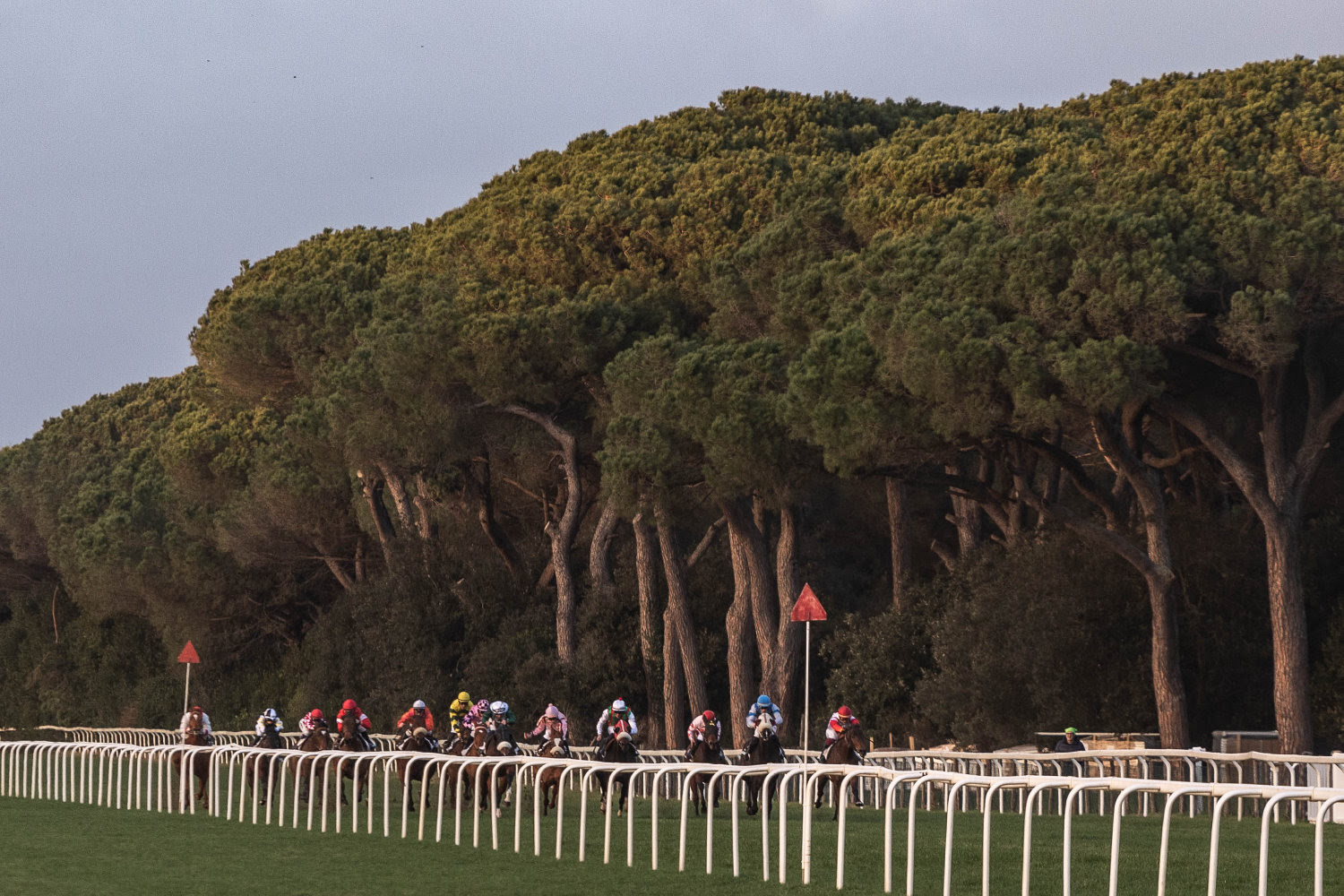 Le corse all'ippodromo san rossore