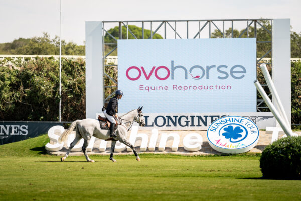 Horse and rider during the Andalucia Sunshine Tour winners of the Grand Prix sponsored by Ovohorse and Ovoclone leading companies in equine reproduction