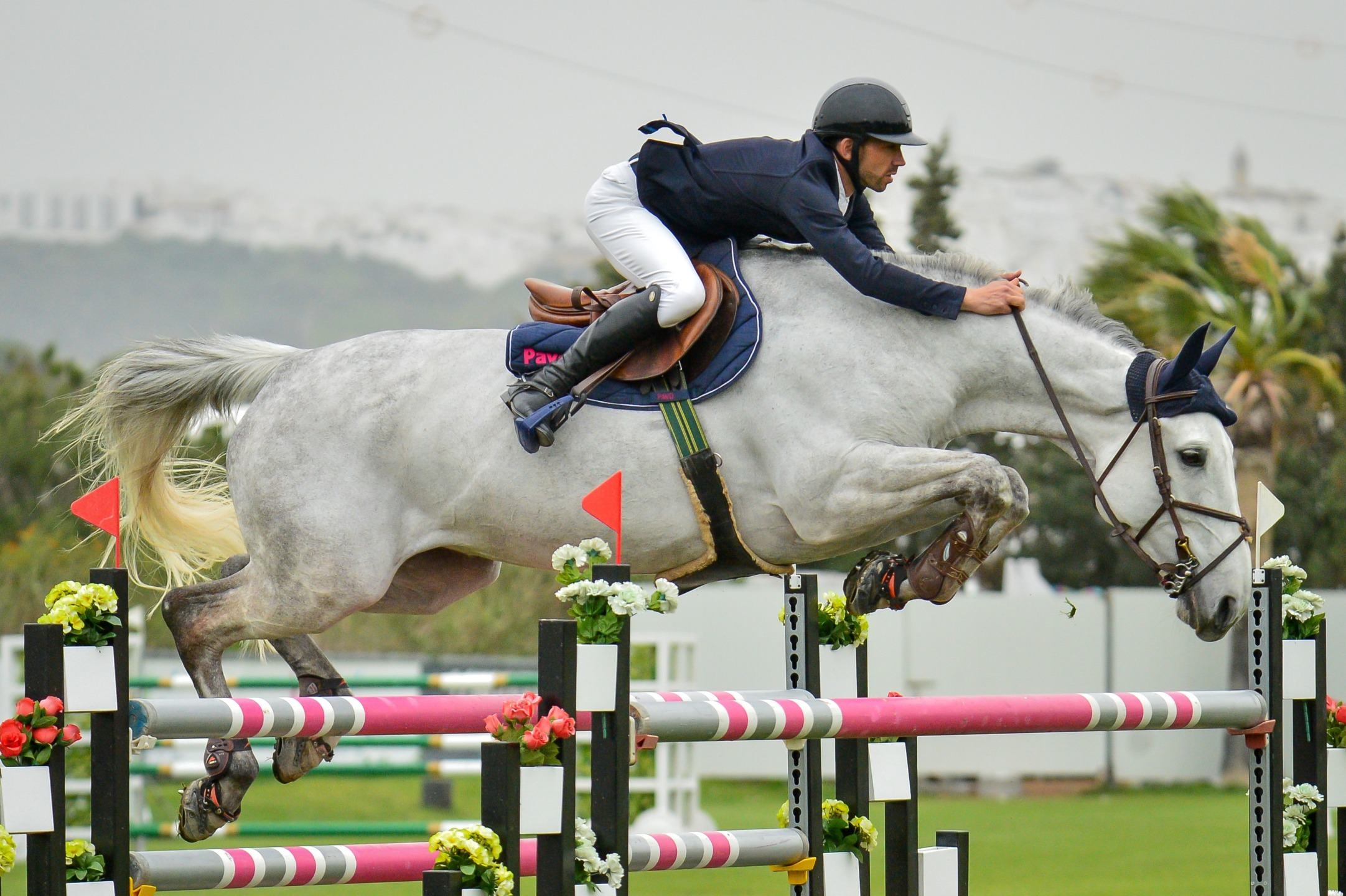 Il portoghese Ricardo Gil Santos e "First Diamond AG" vincono il Big Tour 1,45. 1 Gil- Santos - y - First Diamond - Pensa Sunshine 2024.