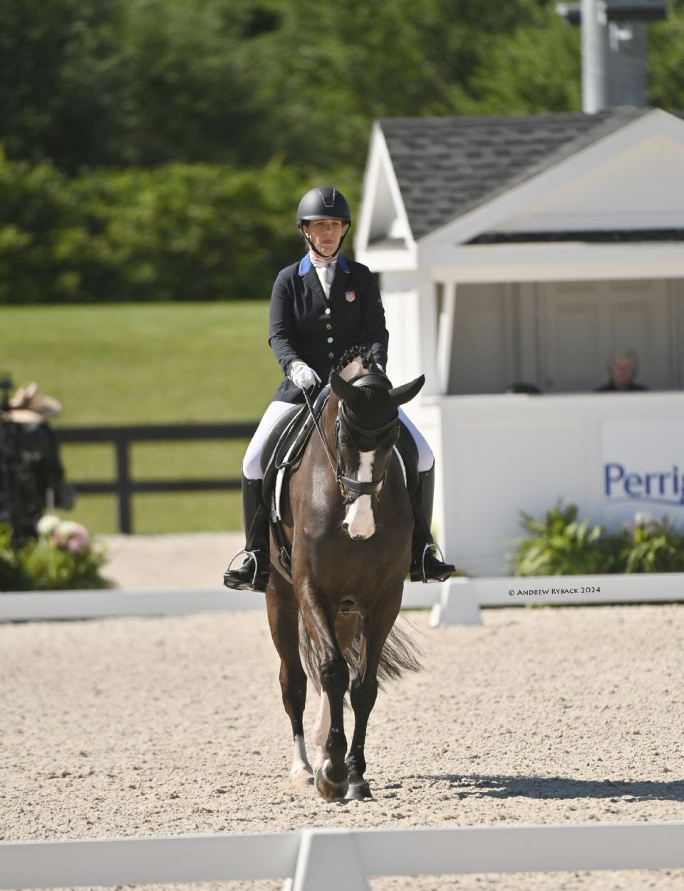 Paradressage: Fiona Howard e Roxanne Trunnell Brillano al CPEDI3* di Ocala 4 Roxanne Trunnell piloted her Dalton